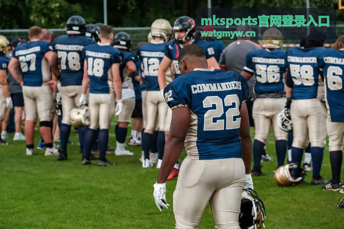mksports官网登录入口 通道地址核对与登录页面检查示意