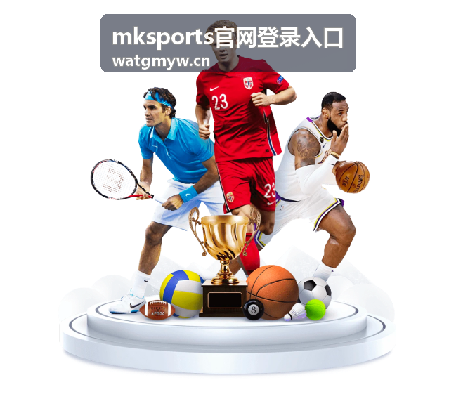 mksports官网登录入口 账号安全与验证方式示意