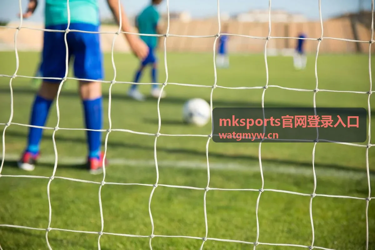 mksports官网登录入口账号在多个终端同步登录状态的操作场景