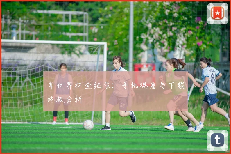 年世界杯全纪录：手机观看与下载终极分析