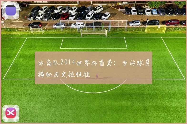 冰岛队2014世界杯首秀:专访球员揭秘历史性征程
