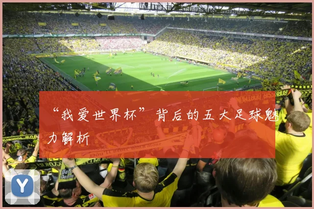 “我爱世界杯”背后的五大足球魅力解析