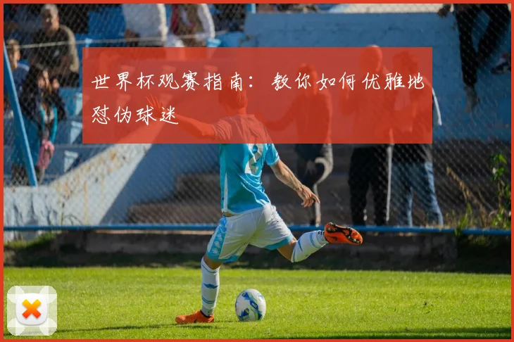 世界杯观赛指南：教你如何优雅地怼伪球迷