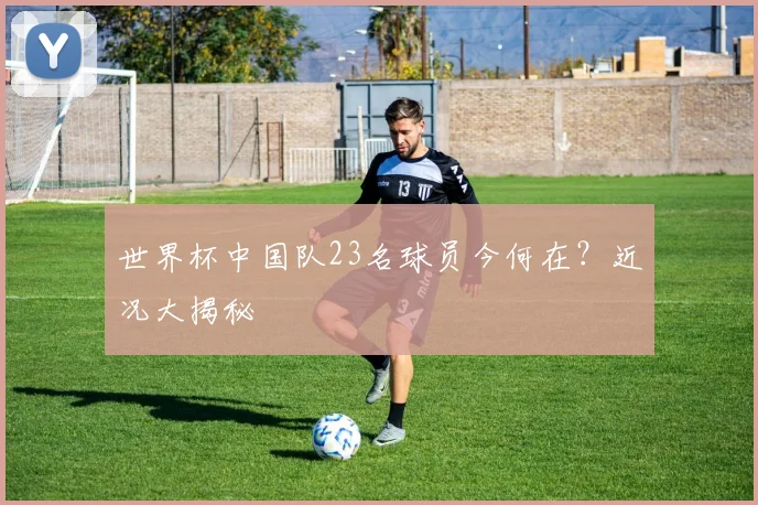 世界杯中国队23名球员今何在？近况大揭秘