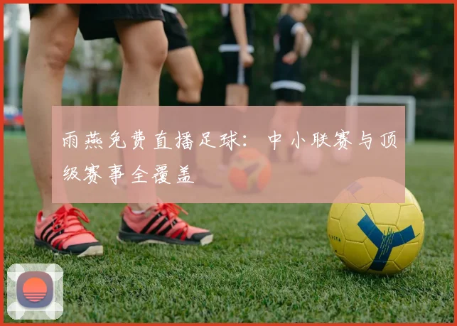 雨燕免费直播足球:中小联赛与顶级赛事全覆盖