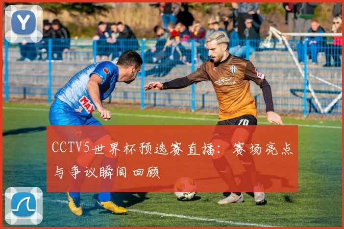 CCTV5世界杯预选赛直播：赛场亮点与争议瞬间回顾