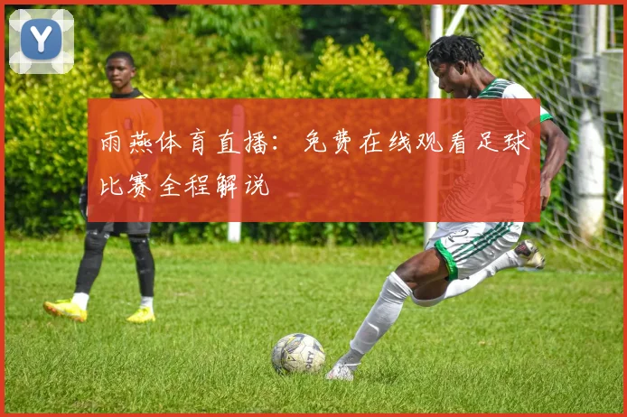 雨燕体育直播：免费在线观看足球比赛全程解说